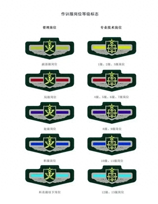 另外一種是著作訓服時佩戴的，參照軍服兵種胸標樣式，以兩種設計樣式區(qū)分管理崗和專業(yè)技術崗，以不同顏色區(qū)分不同等級。